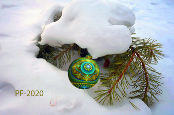 PF-2020 / ***