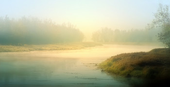 Nebligen Morgen ... / ***