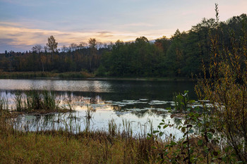 Forest Lake / ***