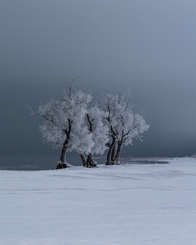 Rime / ***