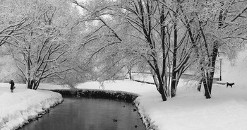 Nach Schneefall / ***