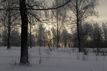 Morgen Winter / ***