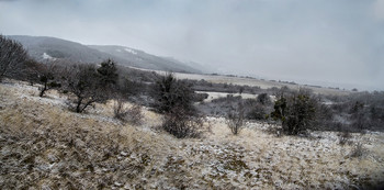 Winter / ***