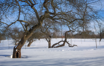 Der Winter kam / ***