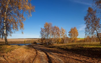 Herbst / ***