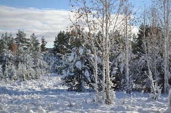 Fluffy Winterreifen / ...
