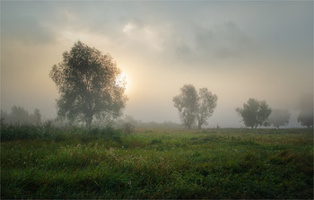 Herbst Morgendämmerung / ***