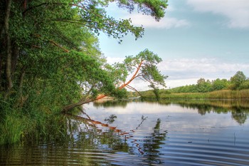 Am Fluss / ***