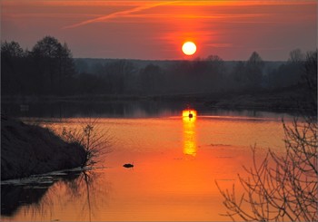 Schwanensee / ***