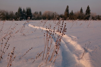 Winterabend. / ***