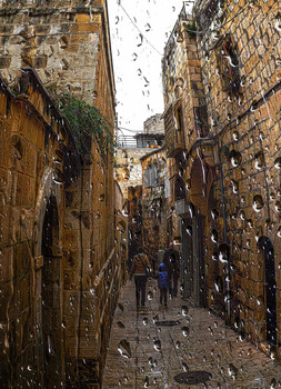 Regen. / ***
