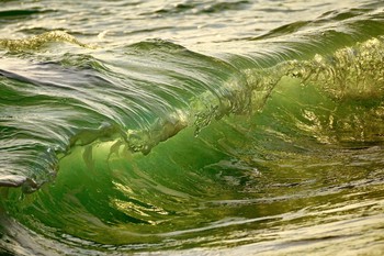 surfen / ***