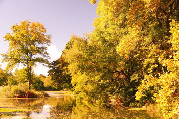 Goldener Herbst / ***