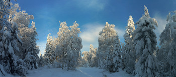Im Schnee Königreich. / ***