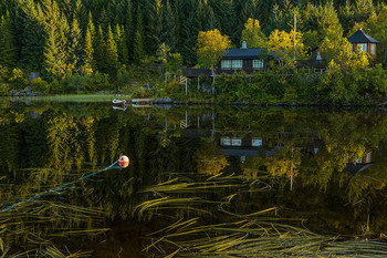 Quiet pool / ***