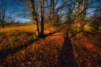 Herbst / ***