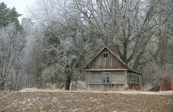 Am Rande des Waldes / ***