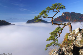 Above fog / Pieniny mountains - Poland.
Thanks for your visit, recommendations and comments