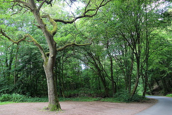  / Natur
