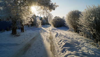 Licht im Winter / ***