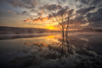 Morgendämmerung / ***