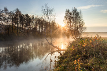 Herbstnebel / ***
