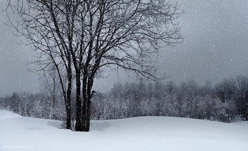 Schnee / ***