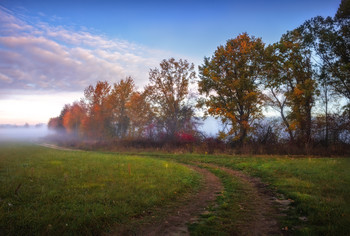 Herbst / ***