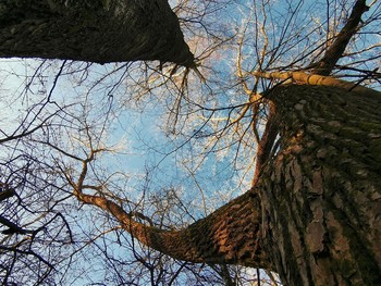 Winter Himmel / ***