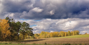 Herbst / ***