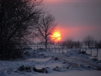 bis morgen ... / ***