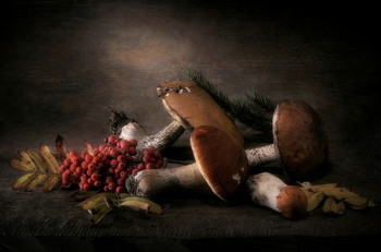 Autumn Still Life / 2019