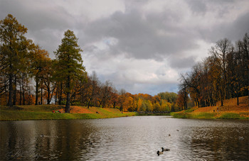 Im Park Gatschina / ***
