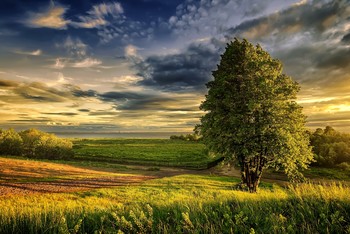 Sommerabend. / ***