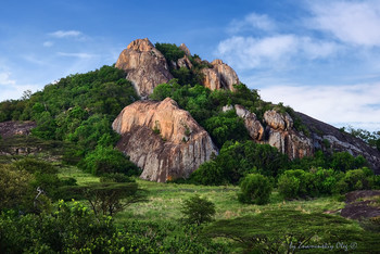  / Landscape with giant dike in savannah of the Serengeti national park at twilight, Tanzania, Africa
