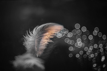Wind / 2020