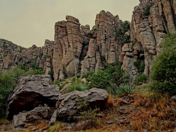  / Chiricahua National Monument, Arizona, USA