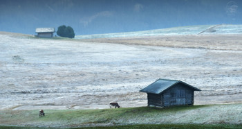 Grauer Morgen / ***