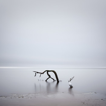 An der Tränke / ***