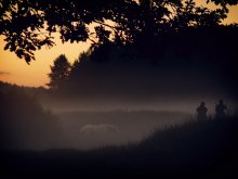 ... Weißes Pferd / ***
