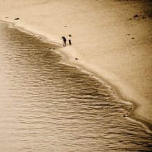 Entlang der Küste / ***