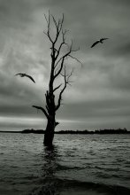 High Water / ***
