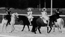 Black&White / ***