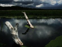 Dark River / no comment