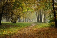 Herbst im Park / ***