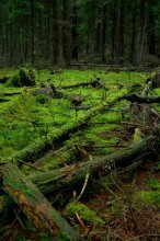 in der Stille / ...