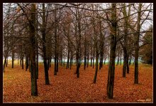 Herbst Soldaten / ***