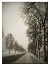 Auf der Straße im Winter / ...