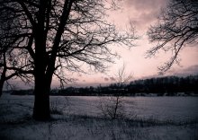 Dream ... / _____
