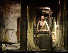 lady of the house / -------------